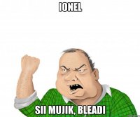 ionel sii mujik, bleadi