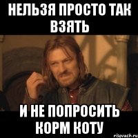 нельзя просто так взять и не попросить корм коту