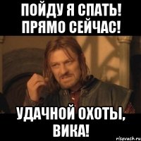 пойду я спать! прямо сейчас! удачной охоты, вика!