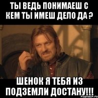 ты ведь понимаеш с кем ты имеш дело да ? шенок я тебя из подземли достану!!!