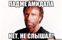 падме амидала нет, не слышал!