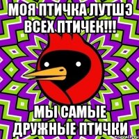 моя птичка лутшэ всех птичек!!! мы самые дружные птички