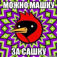 можно машку за сашку