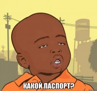  какой паспорт?