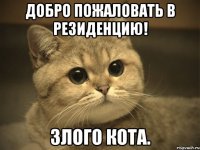 добро пожаловать в резиденцию! злого кота.