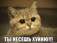  ты несешь хуйню!!!