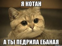 я котан а ты педрила ебаная