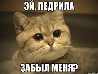 эй, педрила забыл меня?