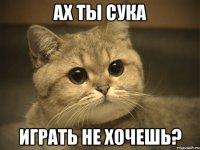 ах ты сука играть не хочешь?