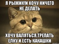 я рыжик!и хочу ничего не делать хочу валяться,трепать елку и есть какашки