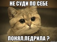 не суди по себе понял,педрила ?