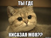 ты где кисазая моя??