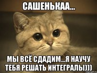 сашенькаа... мы всё сдадим...я научу тебя решать интегралы)))