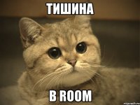 тишина в room