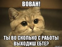 вован! ты во сколько с работы выходиш ебте?