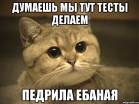 думаешь мы тут тесты делаем педрила ебаная