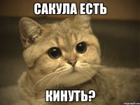 сакула есть кинуть?