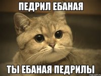 педрил ебаная ты ебаная педрилы