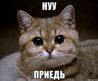 нуу приедь