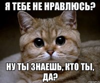 я тебе не нравлюсь? ну ты знаешь, кто ты, да?