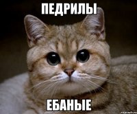 педрилы ебаные