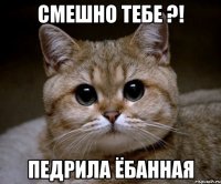 смешно тебе ?! педрила ёбанная