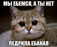 мы ебемся, а ты нет педрила ебаная