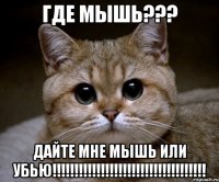 где мышь??? дайте мне мышь или убью!!!