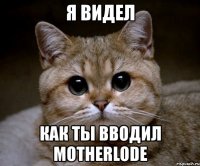 я видел как ты вводил motherlode