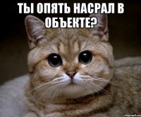 ты опять насрал в объекте? 