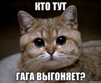 кто тут гага выгоняет?