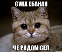 сука ебаная че рядом сел