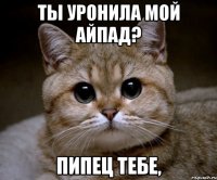 ты уронила мой айпад? пипец тебе,