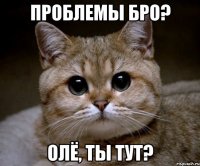 проблемы бро? олё, ты тут?