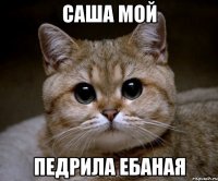 саша мой педрила ебаная