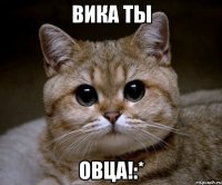 вика ты овца!:*