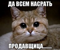 да всем насрать продавщица........