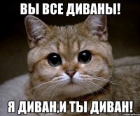 вы все диваны! я диван,и ты диван!