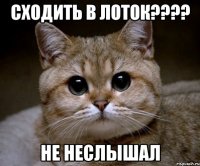 сходить в лоток??? не неслышал