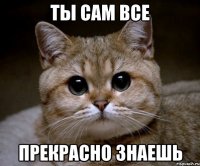 ты сам все прекрасно знаешь