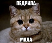 педрила мала