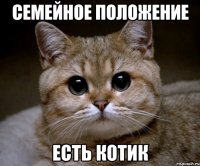 семейное положение есть котик