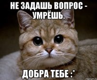 не задашь вопрос - умрёшь. добра тебе :*