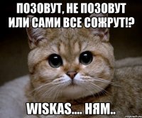 позовут, не позовут или сами все сожрут!? wiskas.... ням..