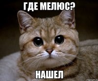 где мелюс? нашел