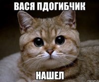 вася пдогибчик нашел