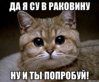 да я су в раковину ну и ты попробуй!