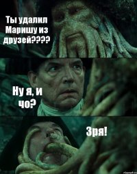 Ты удалил Маришу из друзей??? Ну я, и чо? Зря!