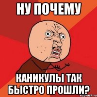 ну почему каникулы так быстро прошли?