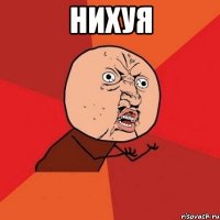 нихуя 